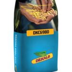 სიმინდი დეკალბი DKC 6980 - FAO 700 -50 000ც.