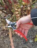 სასხლავი მაკრატელი FELCO 11 - Image 2