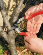 სასხლავი მაკრატელი FELCO 13 - Image 2