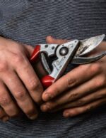 სასხლავი მაკრატელი FELCO 8 - Image 2