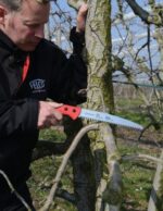 ხერხი FELCO 621 - Image 3