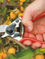 სასხლავი მაკრატელი FELCO 6 - Image 2