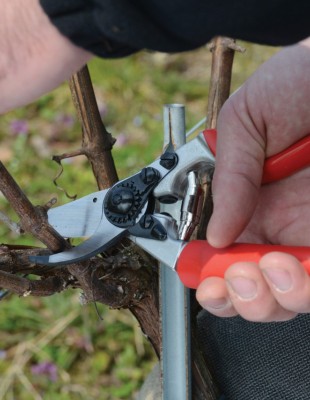 სასხლავი მაკრატელი FELCO 7 - Image 3