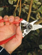 სასხლავი მაკრატელი FELCO 6 - Image 3