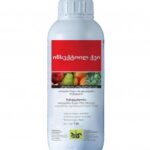 ინსექტოილ ქეი