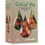 ქრესქალ ფე -1კგ. რკინა ხელატური ფორმით