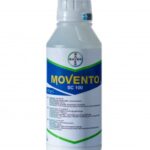 მოვენტო