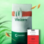 ხორბლის თესლი AMICUS II რეპროდუქცია 30 კგ.