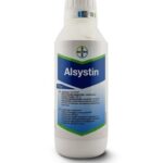 ალსისტინი