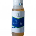 კონფიდორი