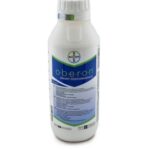 ობერონი