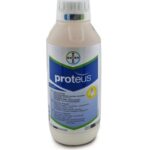 პროტეუსი