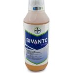 სივანტო პრაიმი