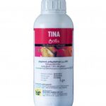 ტინა