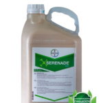 სერენადე ასო