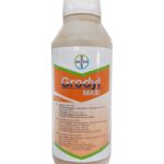 გროდილ მაქსი