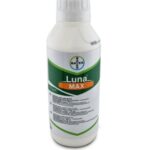 ლუნა მაქსი