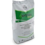 მელოდი კომპაქტი