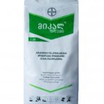 მიკალ ფლეში