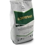 ტელდორი