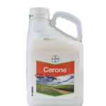 ცერონი