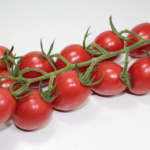 პომიდვრის თესლი TETA 680 F1 (100 მარცვალი)