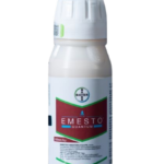 ემესტო კვანტუმი