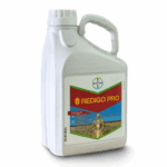 რედიგო პრო