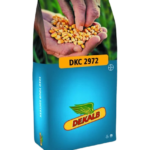 სიმინდის თესლი - დეკალბი DKC 2972 - FAO 200 -50 000ც.