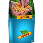 სიმინდის თესლი - დეკალბი DKC 3400 - FAO 240 -50 000ც.