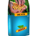 სიმინდის თესლი - დეკალბი DKC 4178 - FAO 330 -50 000ც.