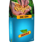 სიმინდის თესლი - დეკალბი DKC 4391 - FAO 350 -50 000ც.