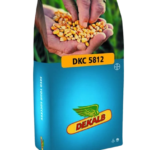 სიმინდის თესლი - დეკალბი DKC 5812 - FAO 550 -50 000ც.