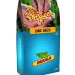 სიმინდის თესლი - დეკალბი DKC 6625 - FAO 630 -50 000ც.