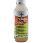 დეცის ექსპერტი