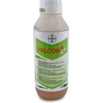 ფალკონი