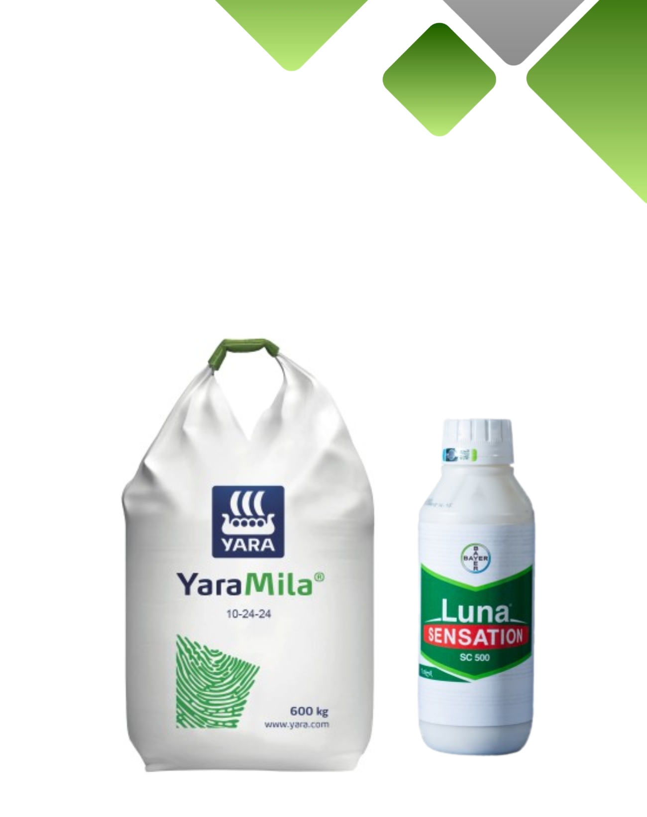 10-24-24 ლუნა